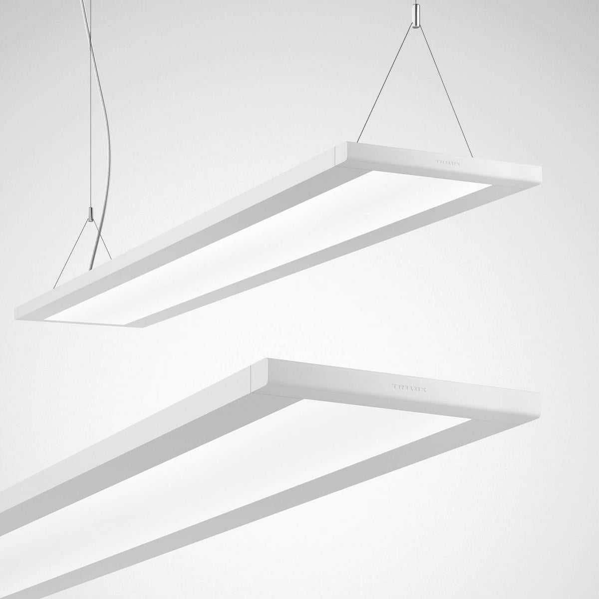 Trilux LED-Anbau/Pendel-Leuchte 4000K DALI Luceos D/H1 #7017351