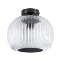 PAULMANN LED-Deckenanbauleuchte 60W schwarz Ruya 711.46