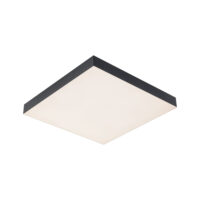 PAULMANN LED-Panel 64x295mm 16W 1140lm Velora 799.07 3000-6500K schwarz Konverter