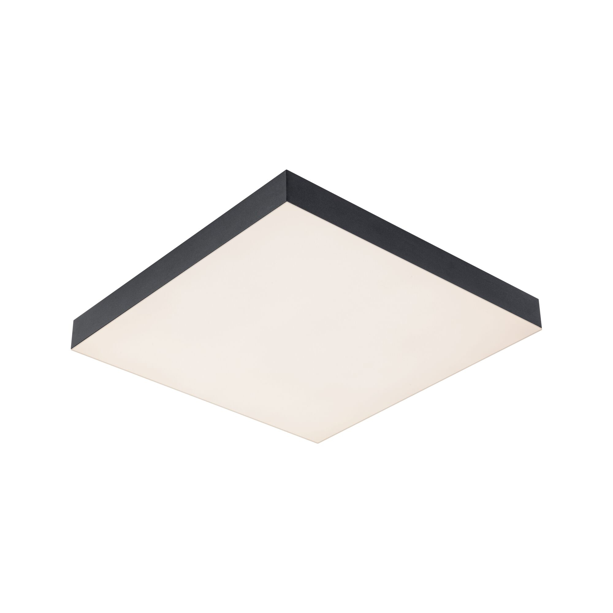 Paulmann PAULMANN LED-Panel 64x295mm 16W 1140lm Velora 799.07 3000-6500K schwarz Konverter