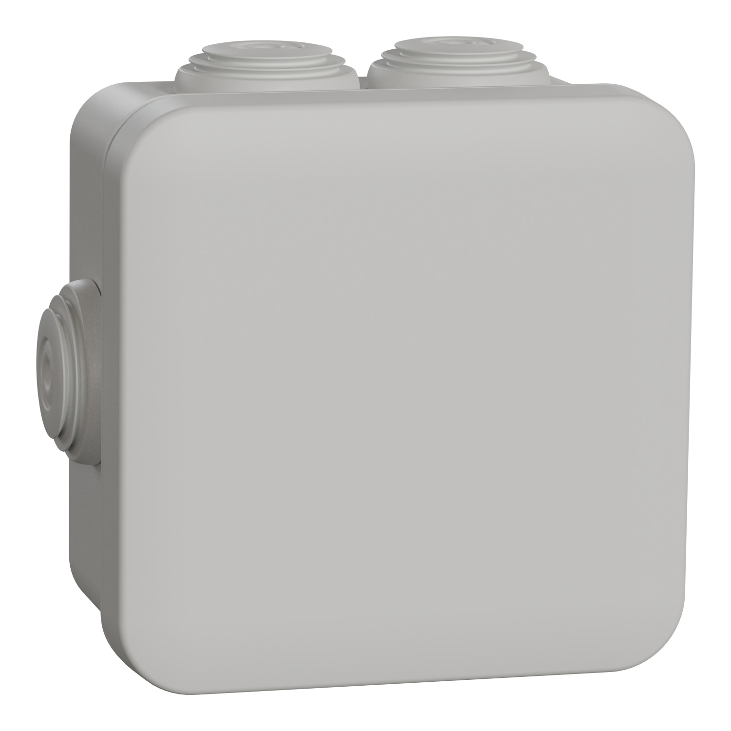 Schneider Schneider Electric Abzweigdose ENN05004
