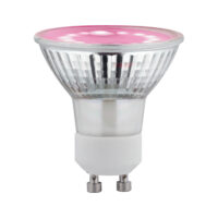 PAULMANN LED-Reflektorlampe GU10 PAR16 289.74 PAR16 3,5W 1100K rose 95lm 110°