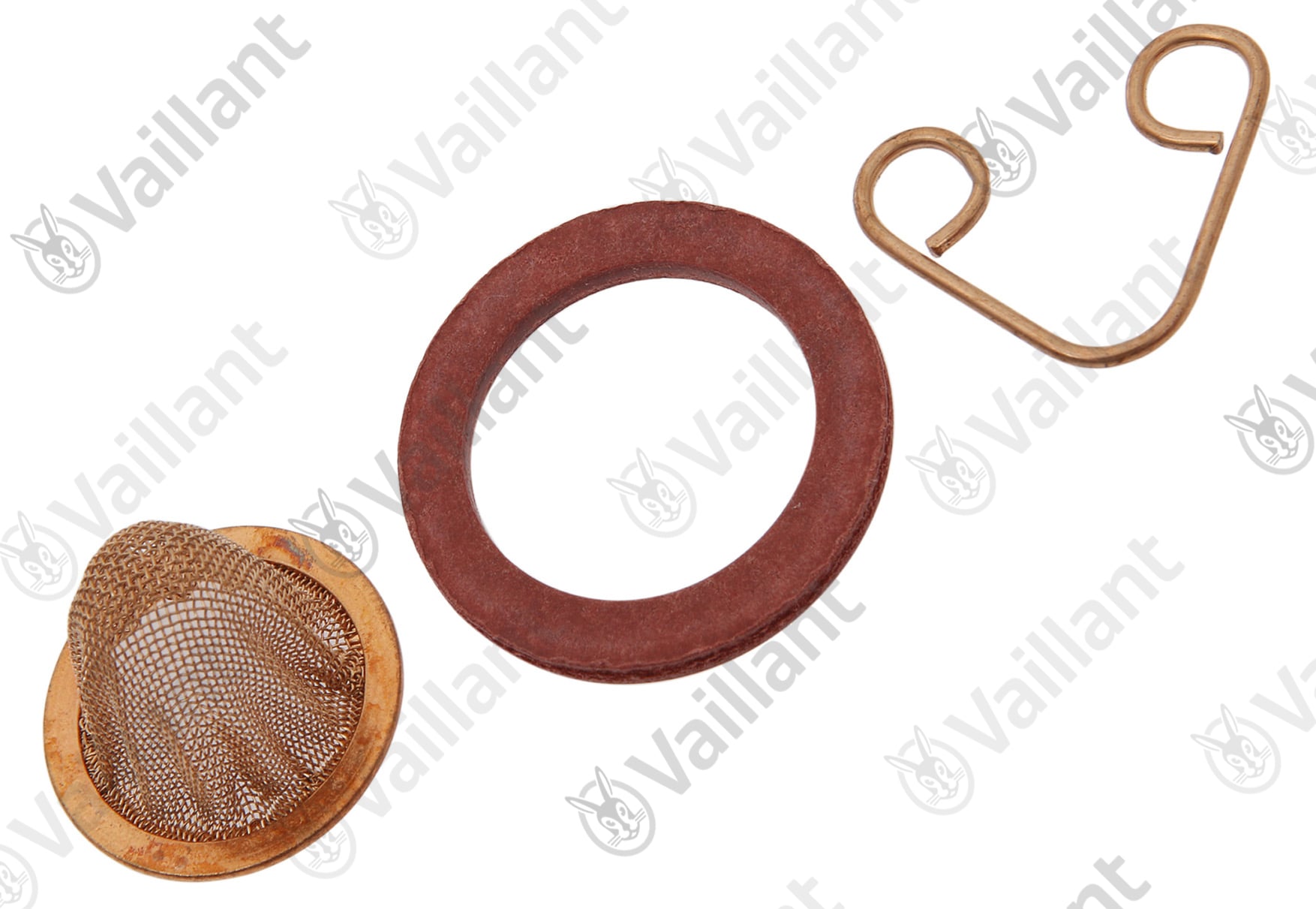 Sieb, mit Feder Vaillant-Nr. 0020093100