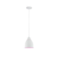 PAULMANN LED-Pendelleuchte 1LED E27 sym Neordic Hilla 797.64 IP20
