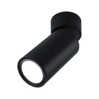 PAULMANN LED-Anbaustrahler 6W Konverter 1LED Turnal 930.89 schwarz 2700K weiß 470lm schwarz matt