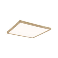 PAULMANN LED-Anbauleuchte 19W 3000K br Atria Shine 710.30 1600lm Konverter