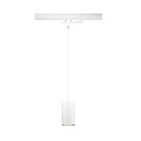 PAULMANN LED-Pendelleuchte 1LED 3000K Kratos 966.13 3000lm sym IP20
