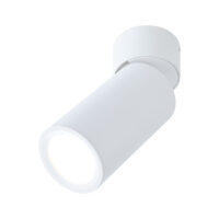 PAULMANN LED-Anbaustrahler 6W Konverter 1LED Turnal 930.87 weiß 2700K weiß 470lm weiß matt