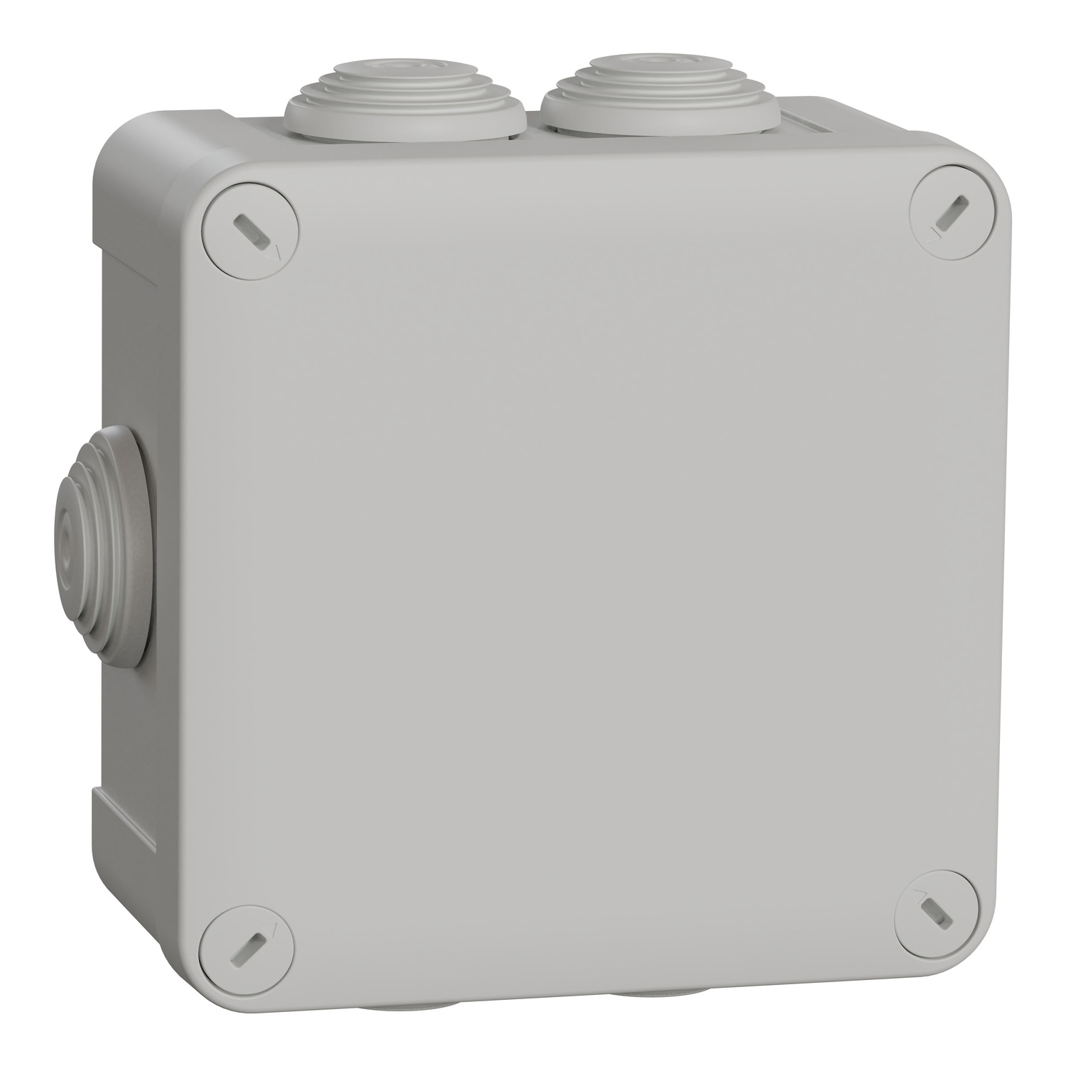 Schneider Schneider Electric Abzweigdose ENN05005