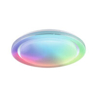 PAULMANN LED-Anbauleuchte 38,5W 2800lm Rainbow Dynamic 705.47 3000-6500K RGBW