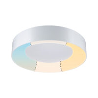 PAULMANN LED-Kunststoffleuchte 25W weiß Casca 789.47 2700-6500K 2200lm Konverter