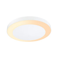 PAULMANN LED-Deckenanbauleuchte 15W weiß Circula 945.27 2200-3000K 880lm Konverter