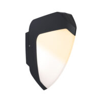 PAULMANN LED-Wandanbauleuchte 4,5W 350lm Ikosea 945.16 2200-3000K anthrazit Konverter