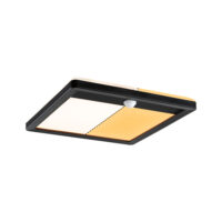 PAULMANN LED-Anbauleuchte 16W 2200-3000K Lamina 947.09 920lm schwarz Konverter