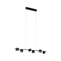 PAULMANN LED-Pendelleuchte 6LEDs 2700K Puric Pane 797.73 350lm Konverter schwarz sym