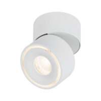 PAULMANN LED-Anbaustrahler 10W Konverter 1LED Spircle 933.73 weiß 3000K weiß 550lm weiß matt