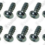 VAILLANT Schraube, (x10) Vaillant-Nr. 0010048113