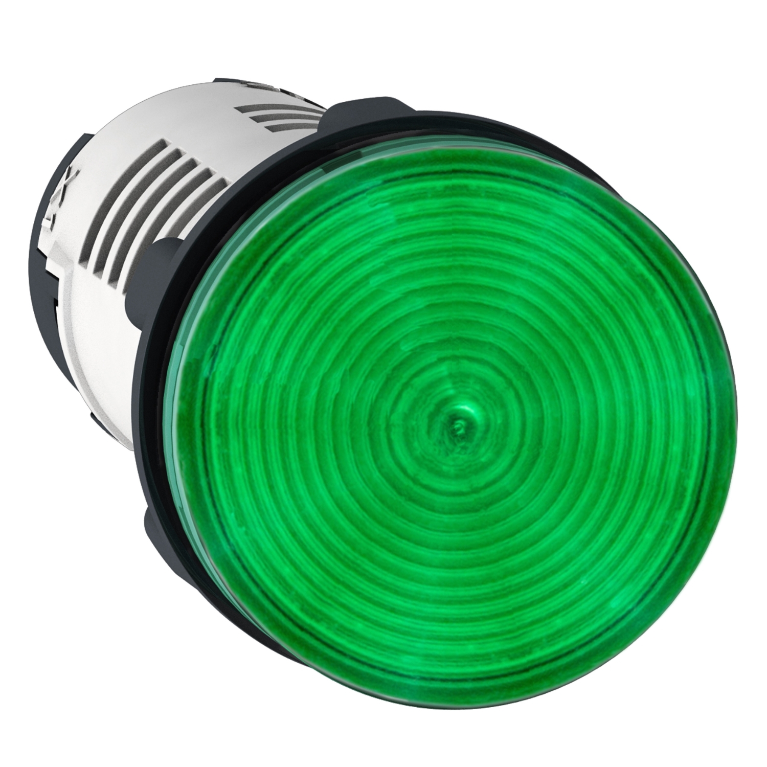 Schneider Schneider Electric Meldeleuchte LED XB7EV03MP