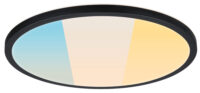 PAULMANN LED-Panel Ø398mm 24W 3000-6500K 712.58 2800lm schwarz Konverter