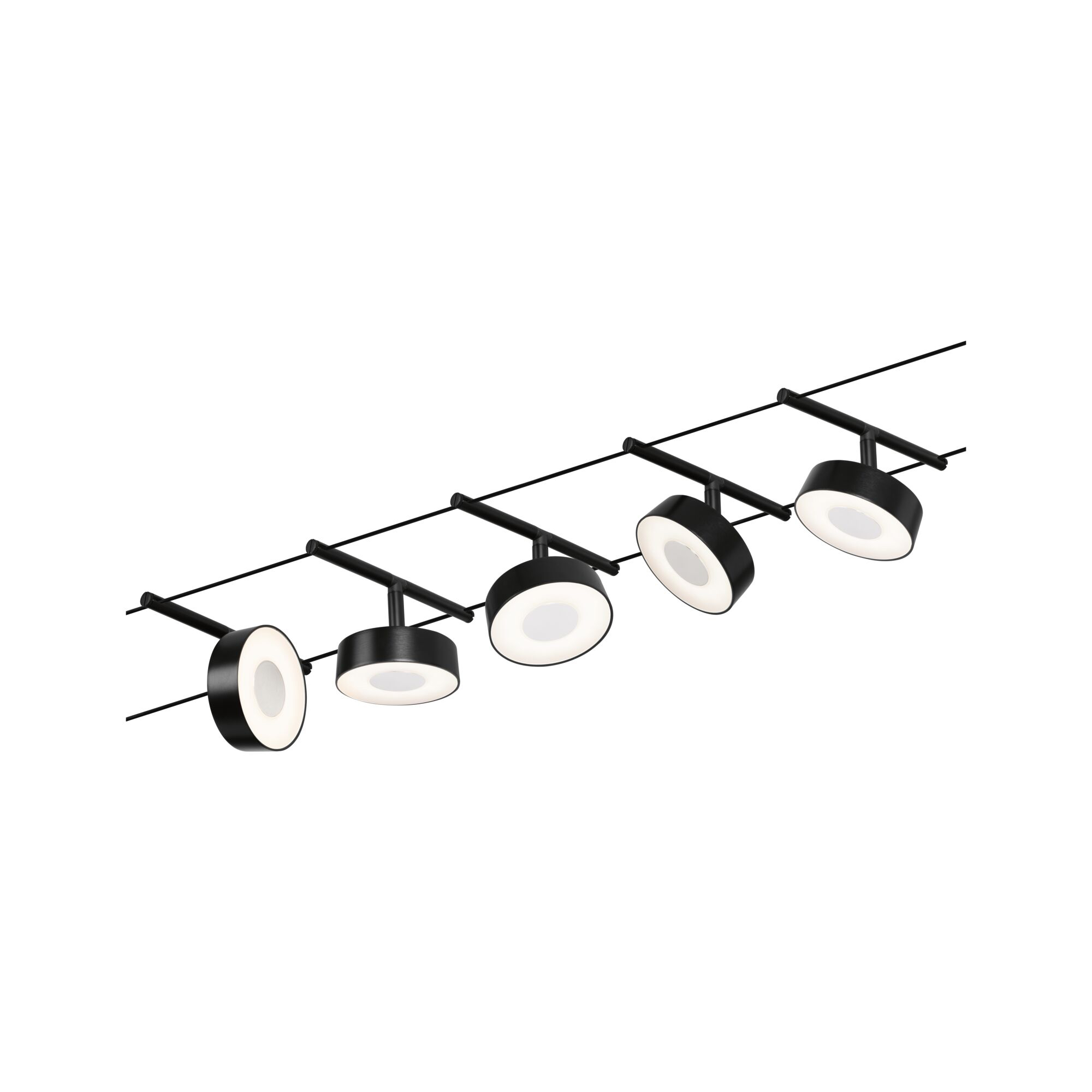 Paulmann PAULMANN Seilsystem 5W schwarz 944.79