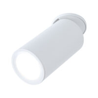 PAULMANN LED-Einbaustrahler 6W Konverter 1LED Turnal 930.86 weiß 2700K weiß 470lm weiß matt