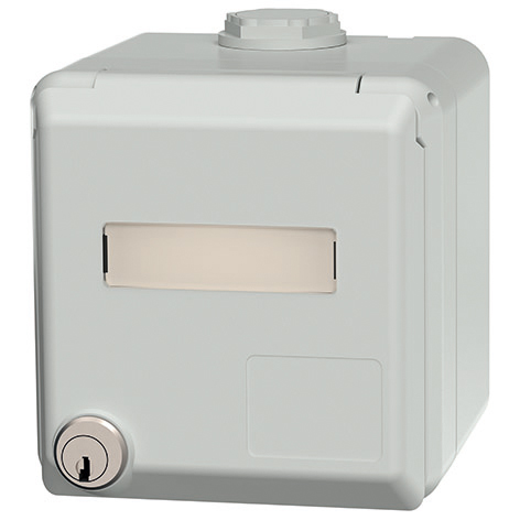 Mennekes MENNEKES Datendose 2-fach Cat6 IP44 Aufputz RJ45 Cepex 4320 Kunststoff