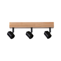 PAULMANN Deckenanbauleuchte 3x20W HV schwarz Arvid 667.72