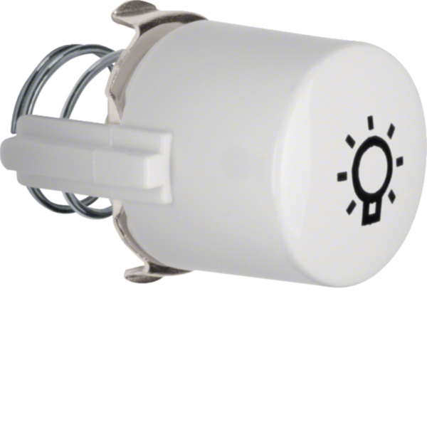 Hager WTF5285WG1 Tasterknopf Klingel für Drucktaster und Lichtsignal E10
