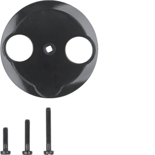 Hager WTF4592BG Zentralstück für Antennen-Steckdose 2Loch 1930/Glas