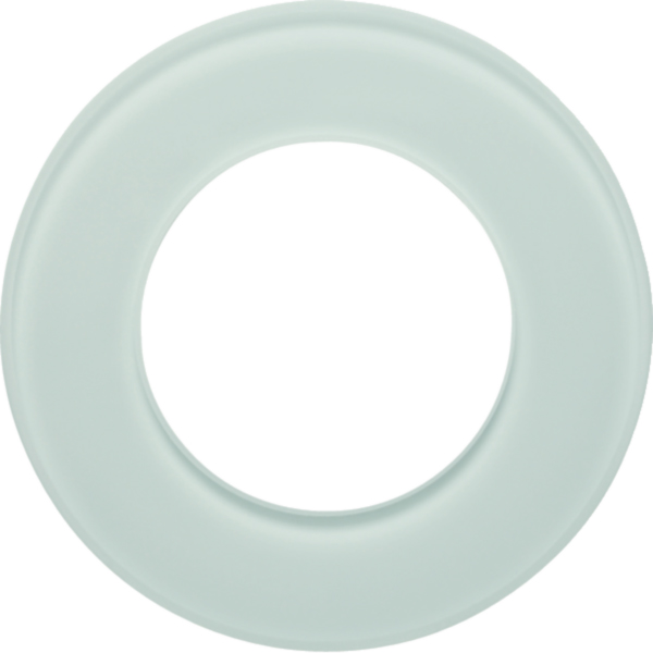 Hager WTD7180GWG Glasrahmen 1-fach Serie Glas polarweiß