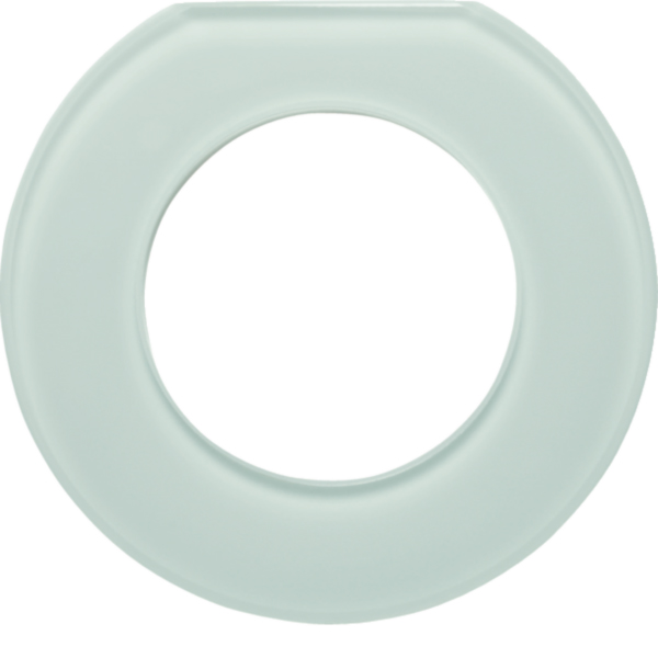 Hager WTD7173GWG Glasendrahmen 1-fach Serie Glas polarweiß