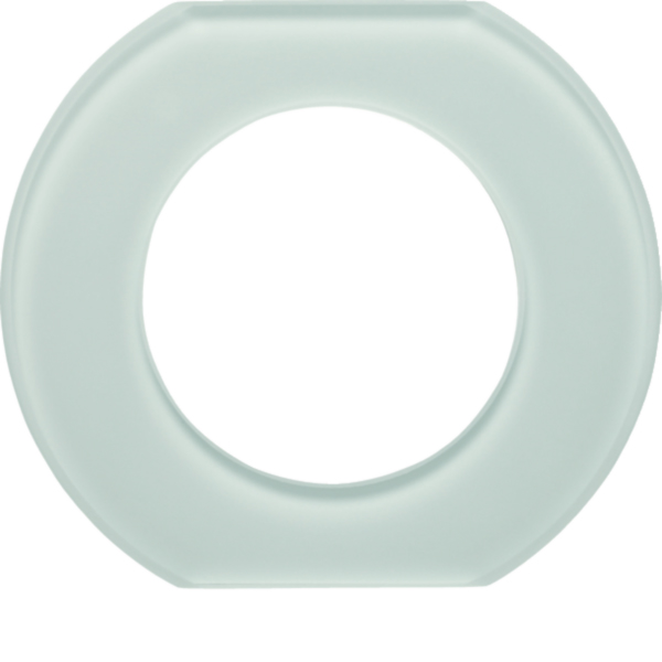 Hager WTD7172GWG Glasmittelrahmen 1-fach Serie Glas polarweiß