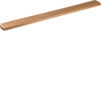 Hager UM21A CU-Schiene universN 20x5mm 1feldig für Sammelschienensystem 60mm