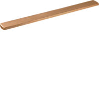 Hager UM22A CU-Schiene universN 20x5mm 2feldig für Sammelschienensystem 60mm