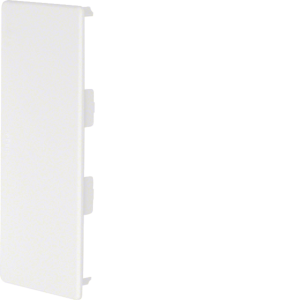 Hager LF6015069016 Endstück halogenfrei zu LF/LFF/LFH/FB 60x150 verkehrsweiß