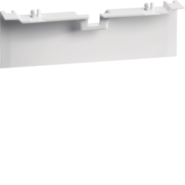 Hager SL20115A9016 Geräteträgerschürze 20x115mm verkehrsweiß