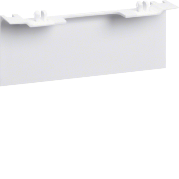 Hager SL20115AC9016 Geräteträgerschürze für universal design 20x115mm verkehrsweiß
