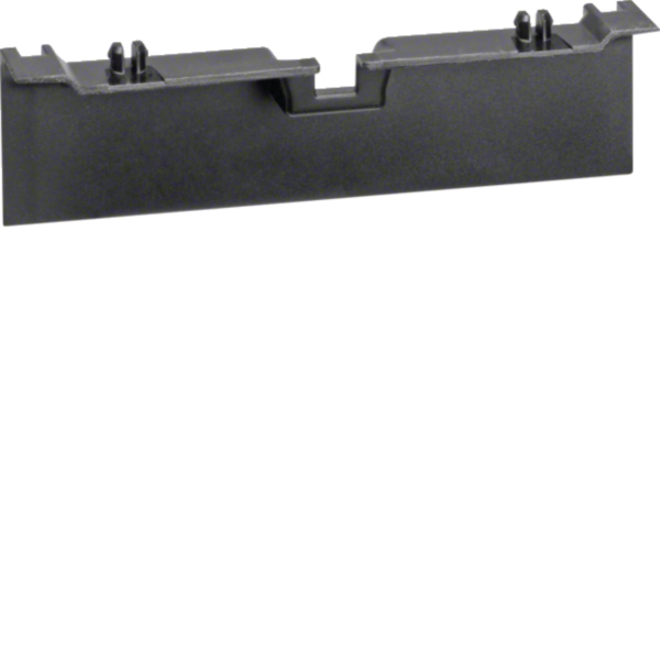 Hager SL20080A9011 Geräteträgerschürze 20x80mm graphitschwarz