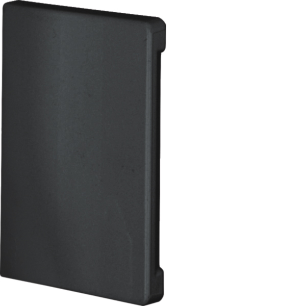 Hager BR6510069011 Endstück kaschierend hfr PC/ABS zu BR/A OT80mm graphitschwarz