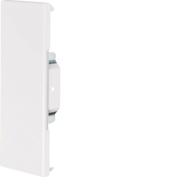 Hager BRS6517069016 Endstück kaschierend Stahlblech 68x170mm OT80mm verkehrsweiß