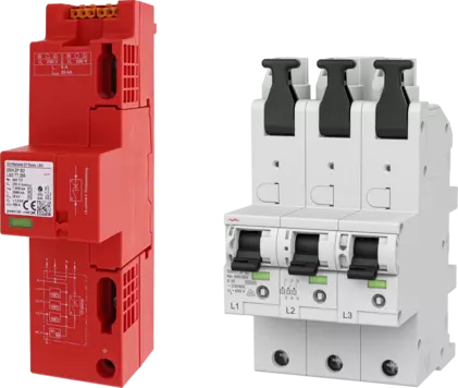Dehn Dehn 909657 SET 3 DSH ZP B2 LSG TT + 1X DSHU 3P 50 SET 3 DSH ZP B2 LSG TT +1X