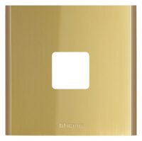 Bticino E345213 Fingerprintmodul LINEA 5000 für ekey sLine in der Farbe Gold