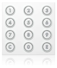 Ritto 1876499 Portier Codiermodul RAL