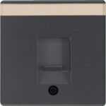 BERKER Zentralplatte RJ45 1-fach schwarz samt MAN0206723 Schraubbef mit Staubschutz
