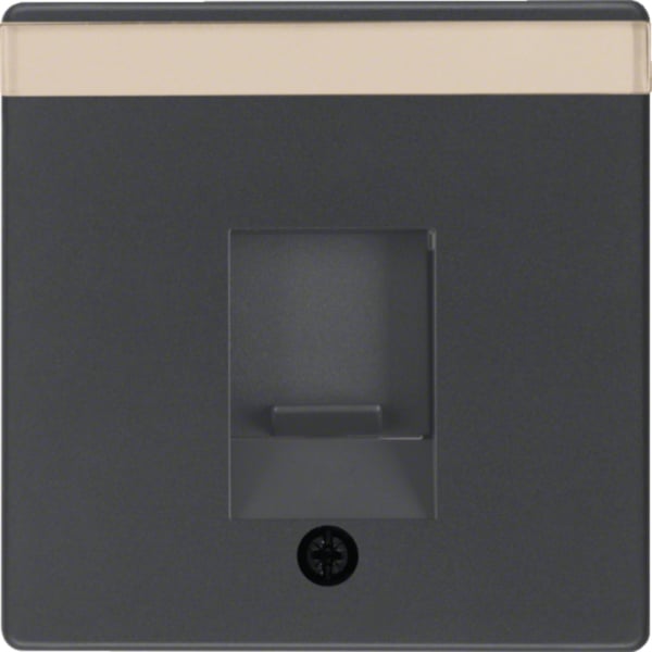 BERKER Zentralplatte RJ45 1-fach schwarz samt MAN0206723 Schraubbef mit Staubschutz