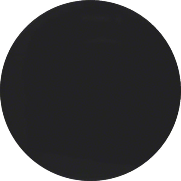 BERKER Wippe 1t Schalter schwarz lackiert R.Classic MAN0306524
