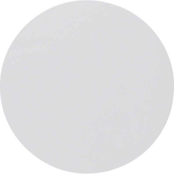 BERKER Wippe Schalter polws lackiert R.Classic MAN0305124