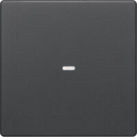 BERKER Wippe 1t Schalter schwarz samt MAN0202123