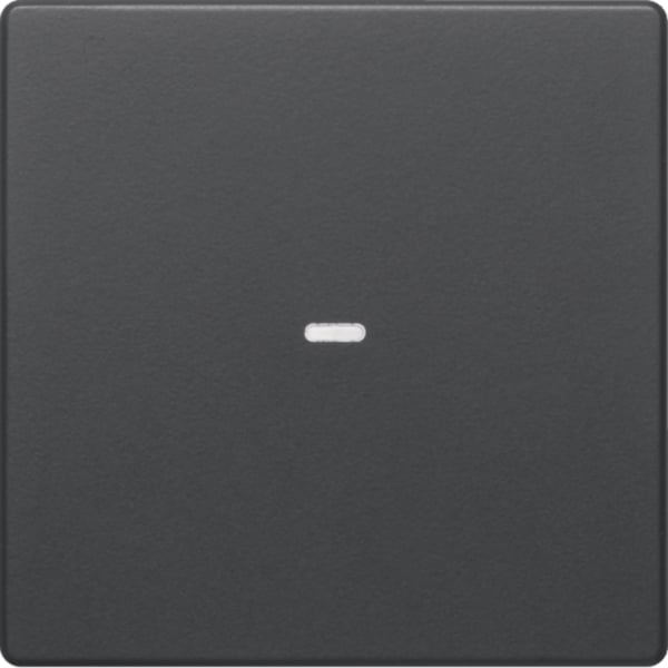 BERKER Wippe 1t Schalter schwarz samt MAN0202123