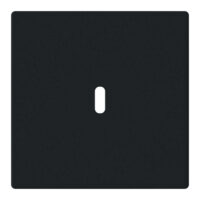 BUSCH-JAEGER Zentralplatte USB schwarz matt 6479-885 einrasten